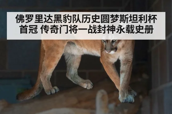 佛罗里达黑豹队历史圆梦斯坦利杯首冠 传奇门将一战封神永载史册